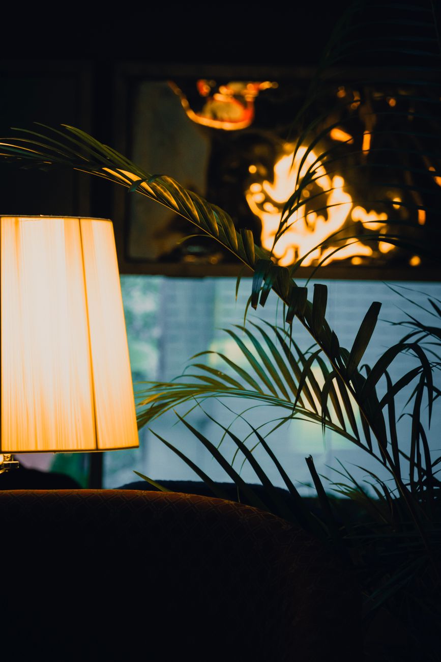 Cozy Evening